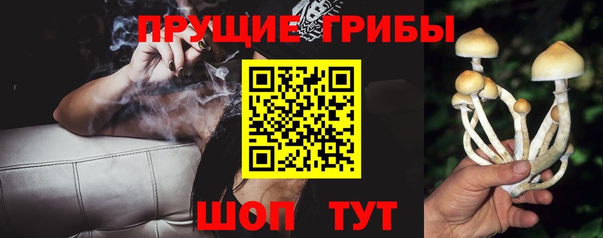 Галлюциногенные грибы Psilocybe Богданович